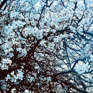 Meet your Posher, Hope